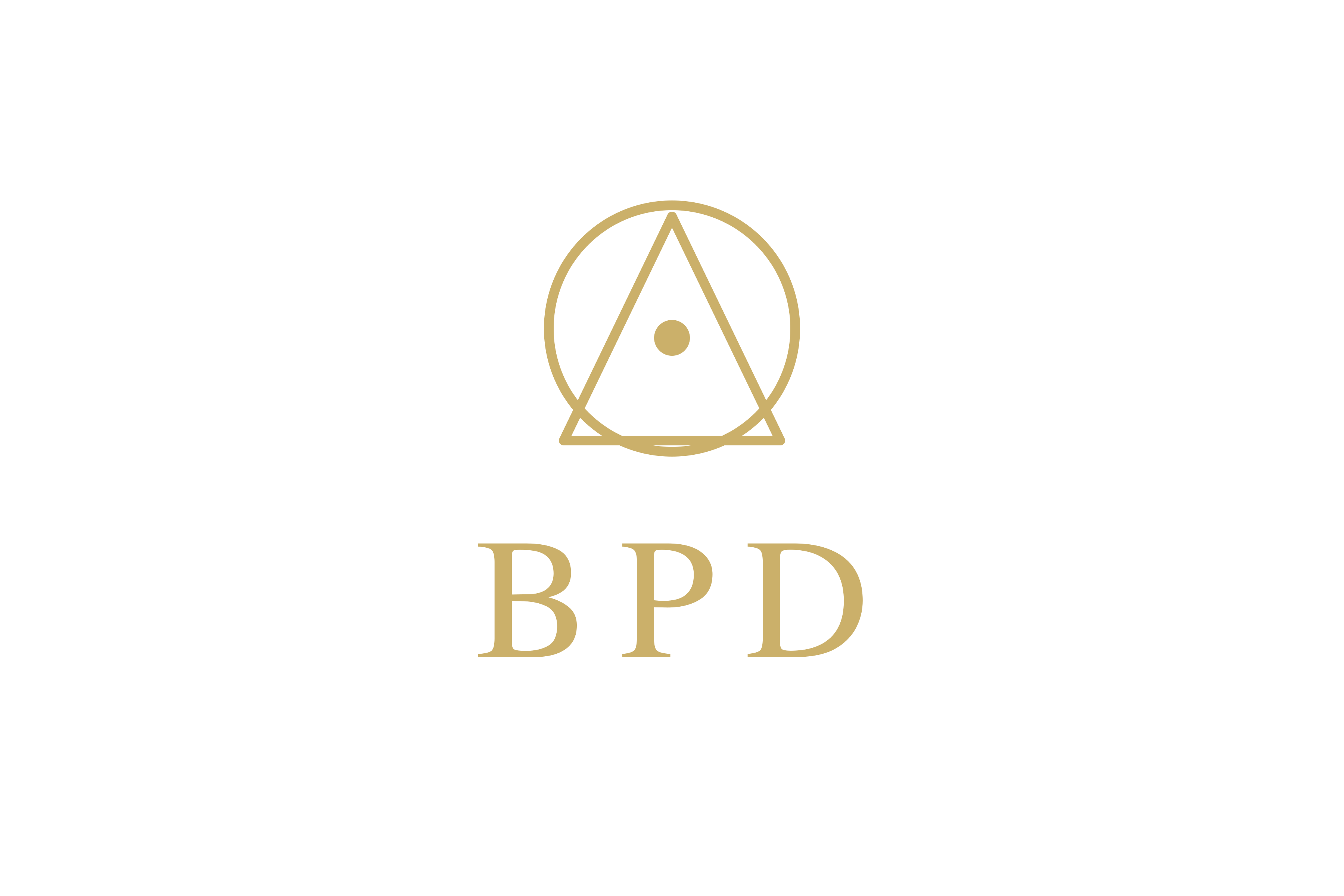 BPD Premium Hoodie — metallic gold chest print